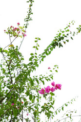 Similar image 6085973