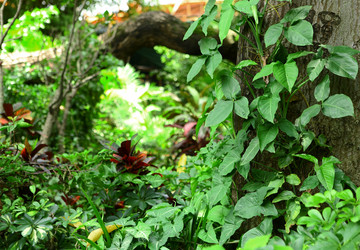 Similar image 6085986