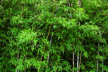 Similar image 6086021