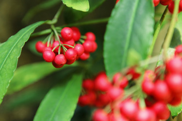 Similar image 6086025