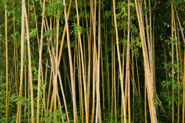 Similar image 6086027