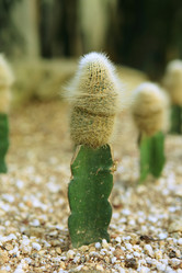 Similar image 6086032