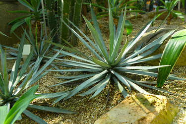 Similar image 6086039