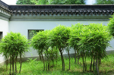 Similar image 6086042