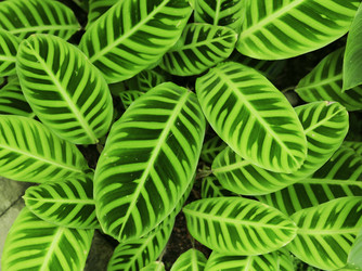 Similar image 6086049