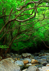 Similar image 6086060