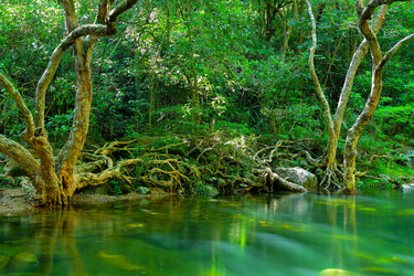 Similar image 6086064