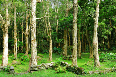 Similar image 6086100