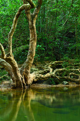 Similar image 6086108