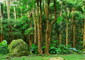 Similar image 6086115