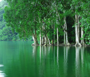 Similar image 6086131