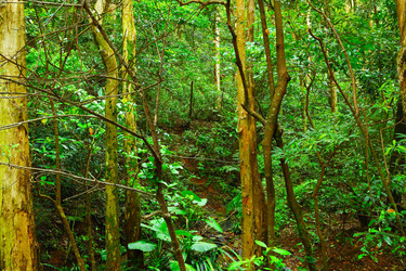 Similar image 6086132