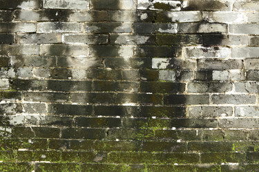 Similar image 6086135