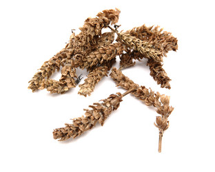 Similar image 6086188