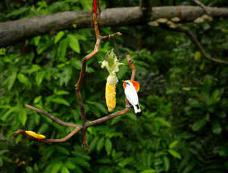 Similar image 6086361