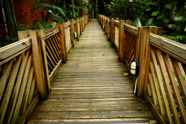 Similar image 6086363