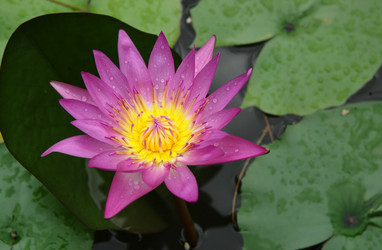 Similar image 6086408