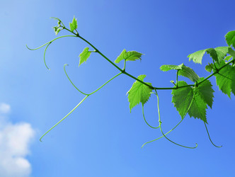 Similar image 6086417