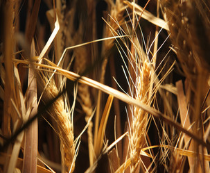 Similar image 6086526