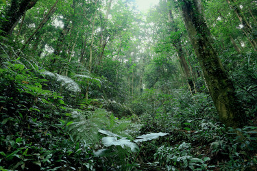 Similar image 6086718