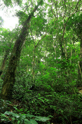 Similar image 6086719