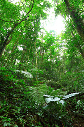 Similar image 6086732