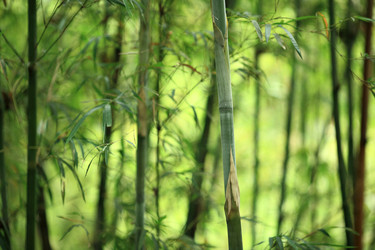 Similar image 6086747