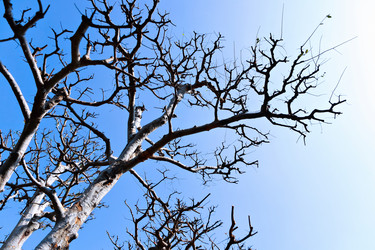 Similar image 6086755