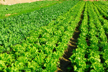 Similar image 6086799