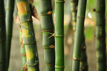 Similar image 6086866