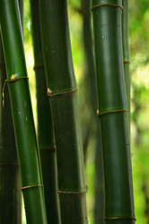 Similar image 6086871