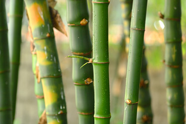 Similar image 6086874