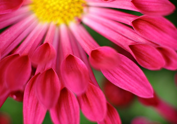 Similar image 6086886