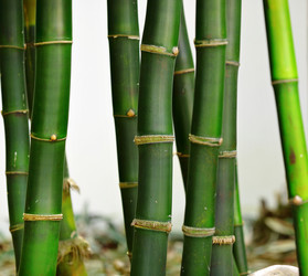 Similar image 6086890