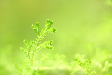 Similar image 6086898