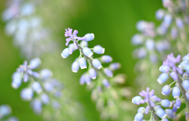 Similar image 6086900