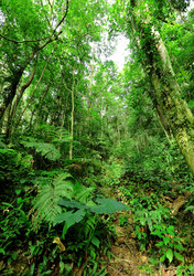 Similar image 6086920