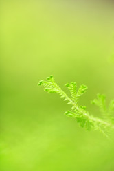 Similar image 6086929