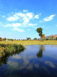 Similar image 6086943