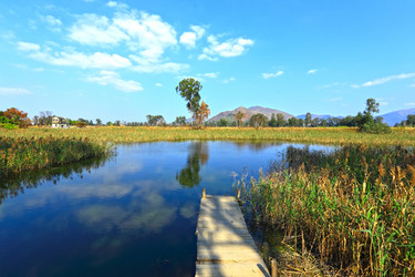 Similar image 6086971