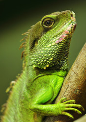 Similar image 6086988