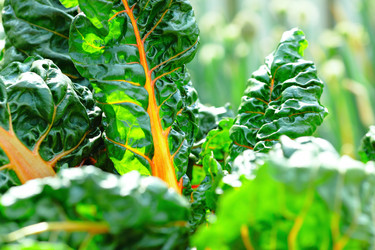 Similar image 6087017