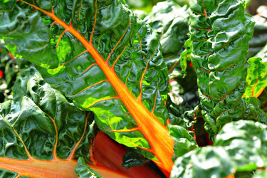 Similar image 6087026