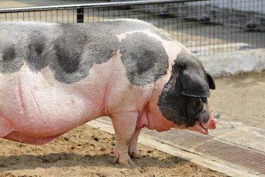 Similar image 6087033