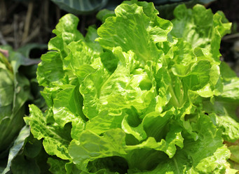 Similar image 6087034