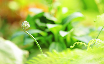 Similar image 6087036