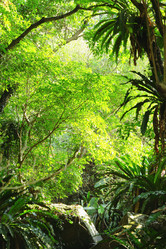 Similar image 6087039