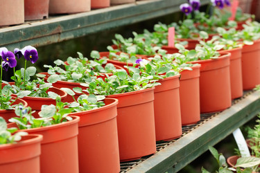 Similar image 6087047