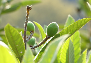 Similar image 6087050