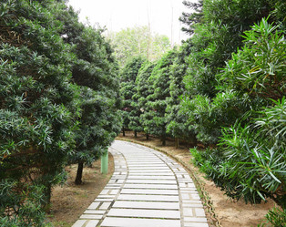 Similar image 6087052